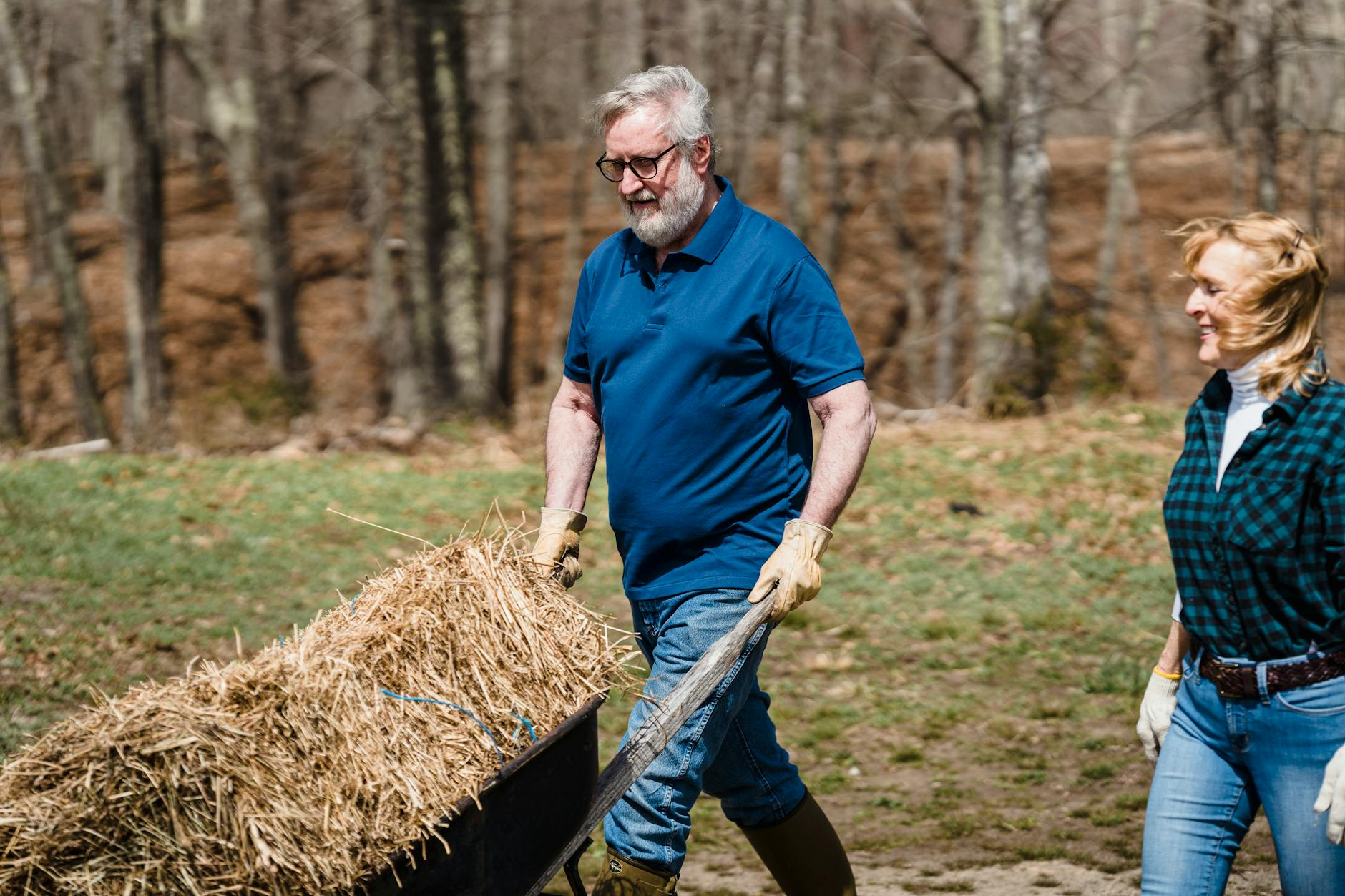 cheerful elderly farmers with hay in countryside
